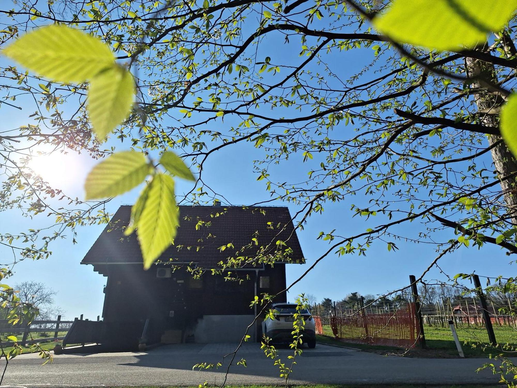 Villa Logarska Koca à Fokovci Extérieur photo